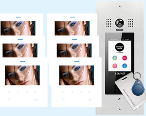 6-Apartment Door Entry System Victor DF4 White Monitors