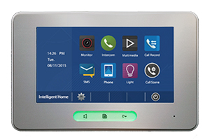 2-Easy Alecto Video Monitor Image Recording