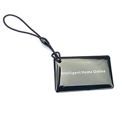 Proximity Key Tags Frequency 125khZ